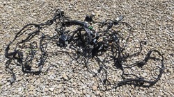 Жгут интерьера кузова fusion 2.5 eg9t 14a005 ade фото №1