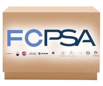 Гвинт, кріплення інжектора [ psa ] 1610369580 do citroen peugeot фото №1