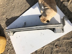 Mini оригінальний номер 7057403 фото №1