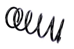 Magnum пружина підвішування fiat ducato 2.0-2.8d фото №1