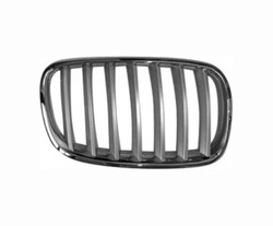 Решітка bmw x5 e70 , 06-13 фото №1