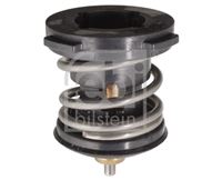 Febi термостат фото №1