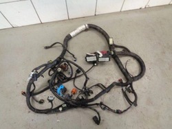 C-max ii рестайлінг 1.0 eb джгут електричний двигуна фото №1