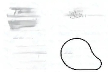 Насос воды t265 dolz lexus toyota gs is nx rav 4 фото №1