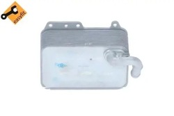 Радіаторів масла двигунний 31272 nrf фото №1