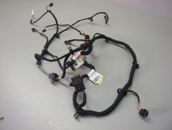 Джгут двері праві зад audi a8 s8 d3 4e0971035d фото №1