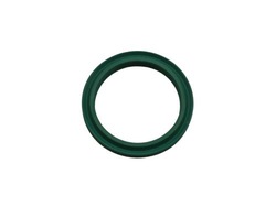 Fast ft48933 кільце ущільнювальний, elast. шланг pow. do турбіни фото №1