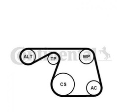 Contitech набір ремінь micro-v 6pk1310wp1 фото №1