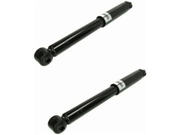 Амортизаторы зад citroen c2 1.1-1.6 03-12 фото №1