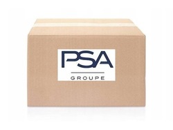 ?ruba mocuj?ca citroen c2, c4, c5, jumpy/ peugeot partner 6x100-20 фото №1