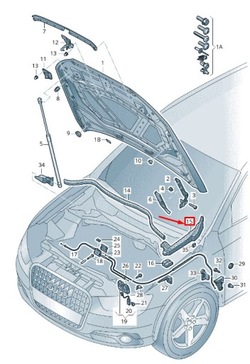 New audi rsq3 8u left bonnet ущільнювач 8u0821169 фото №1