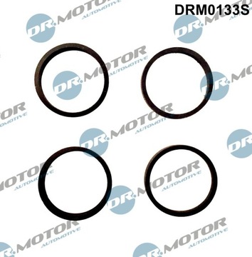Dr.motor drm0133s набір прокладок, колектор повітропровід фото №1