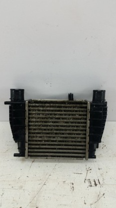 Інтеркулер renault clio iii 8200471885 фото №1