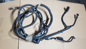 Джгут установка лампа протитуманні фари daf 45 55 lf e5 фото №1