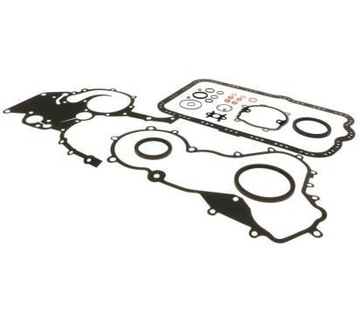 Starline комплект уплотнитель dol двигателя nissan фото №1