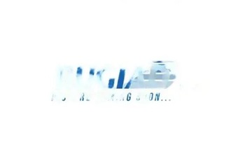 Поворотна опора колеса bsp25135prokit bugiad фото №1