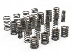 Набор ремонтный пружины глушитель колебания mps6 6dct450 фото №1