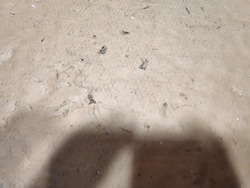 Защита стойка левый перед peugeot expert iii 9808680477 фото №1