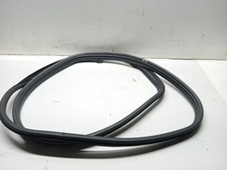 Прокладка двері праві перед renault scenic ii фото №1