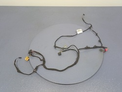 Audi q8 rsq8 4m8 жгут обивка дверь зад 4m8971693 фото №1