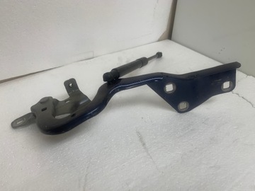 Renault scenic iv петля правые 654003758r фото №1