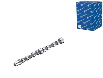 Вал распределительный вал сторона выпускная клапаны выпускные iveco daily iii daily фото №1