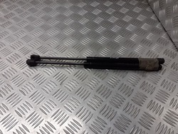 Телескопи кришки зад renault clio ii фото №1