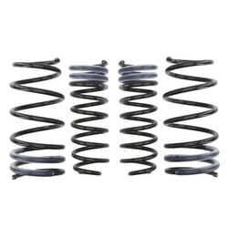 Пружина занижуюча eibach e10-26-001-01-22 фото №1