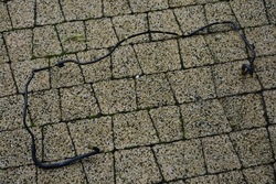 Шланг вакуум audi s8 a8 d4 4h 079131055cr фото №1