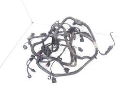 2009 skoda octavia mk2 1z джгут двигуна 07z971782 фото №1