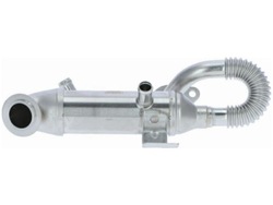 Радиаторов выхлопных газов ford tourneo connect 1.8 фото №1