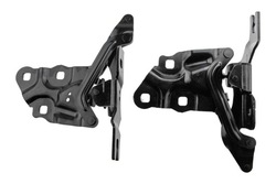 Nty набір петлі кришки двигуна фото №1