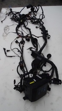 Джгут двигуна корпус hyundai ix35 2.0 dohc a/t фото №1