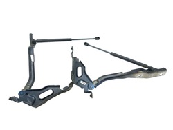 Петлі капота приводи комплект kompletford f-150 lightning блакитний фото №1