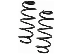 Пружини перед kyb ra1068 фото №1