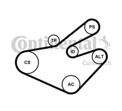 Contitech набір ремінь micro-v 7pk1795wp1 фото №1