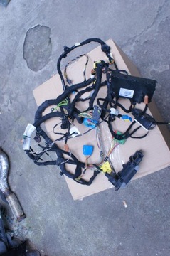 Citroen ds4 джгут панелі європа фото №1