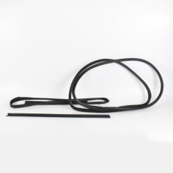 Прокладки двері ліве перед молдинг накладка mg hs i фото №1