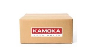 Стрічка wielorowkowy 6pk1841 фото №1