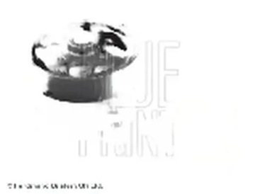 Насос води adn19178 блакитний print фото №1