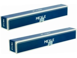 Амортизатори зад meyle 026 725 0030 фото №1
