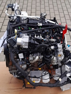 Двигатель ford transit mk8 2.0 ecoblue lk3q6006ba новый автомат blha фото №1