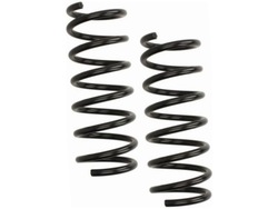 Пружини зад lesjofors 4295860 фото №1