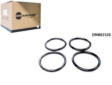 Набор прокладок коллектора впускного citroen berlingo peugeot partner фото №1