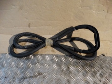 Прокладка двері задня ліва porsche panamera 971 1 фото №1