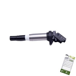 Котушка запалювання bmw x5 4.4 2000 2001 2002 2003 2004 2005 2006 2007 фото №1