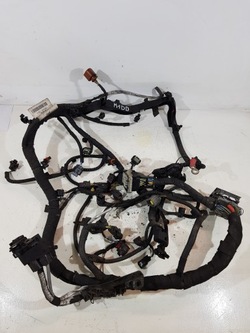 Жгут установка двигателя c1bt-12a522-tfe ford 1.0 ecoboost m1dd фото №1