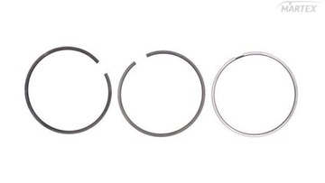 Кольца iveco stralis 01.13- f3gfe61 1a евро 6 fi128 3,0x2,5x4,0mm mahl фото №1