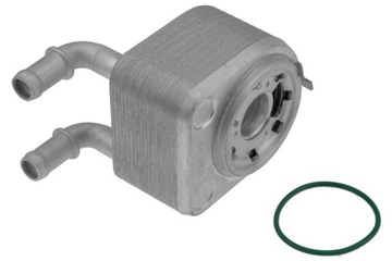 Chłodnicaoleju eng 1.4 renault megane iii 2009- фото №1