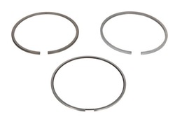 Кольца поршневые mahle 083 24 n0 фото №1